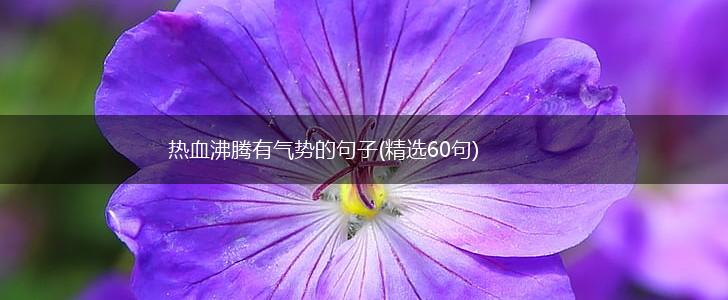 热血沸腾有气势的句子(精选60句),第1张