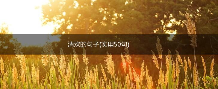 清欢的句子(实用50句),第1张