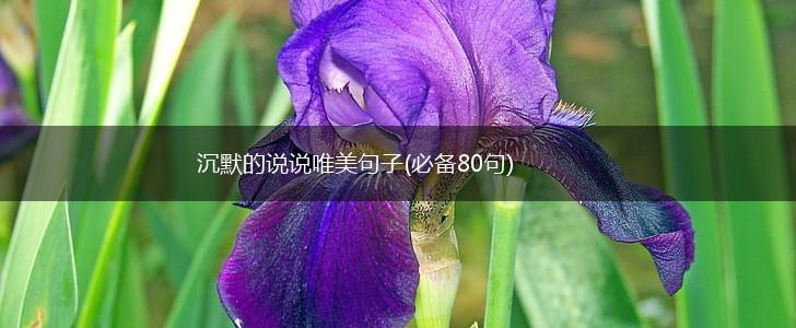 沉默的说说唯美句子(必备80句),第1张