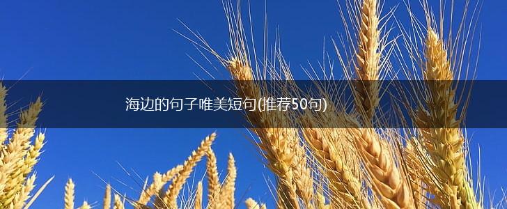 海边的句子唯美短句(推荐50句),第1张