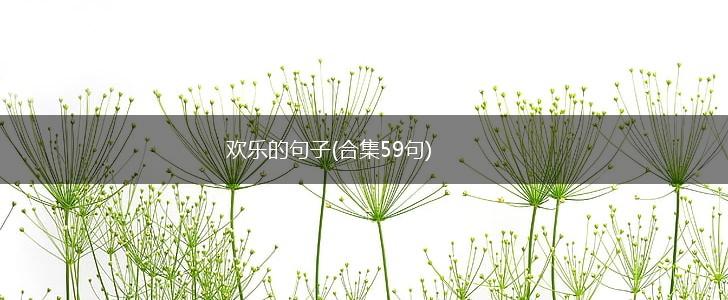 欢乐的句子(合集59句),第1张