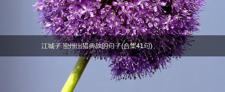 江城子 密州出猎典故的句子(合集41句),第1张