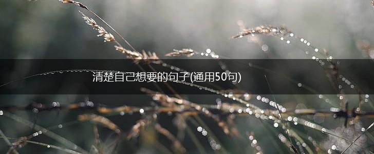 清楚自己想要的句子(通用50句),第1张