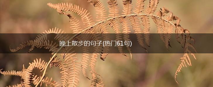 晚上散步的句子(热门61句),第1张