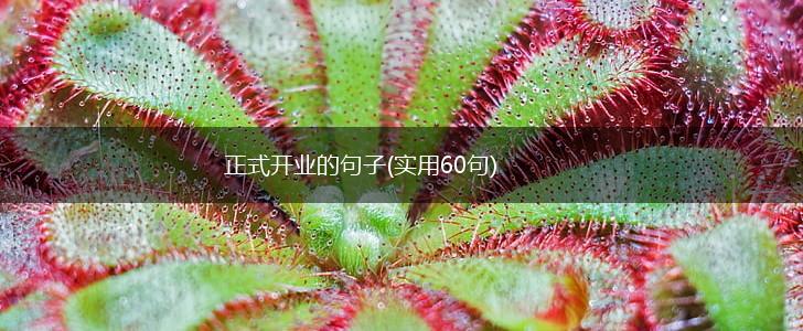 正式开业的句子(实用60句),第1张