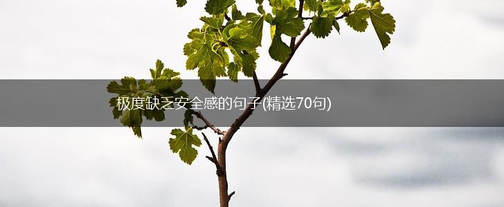 极度缺乏安全感的句子(精选70句),第1张