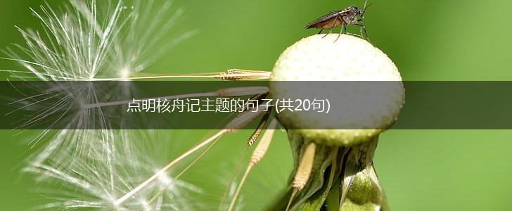点明核舟记主题的句子(共20句),第1张