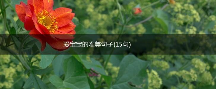 爱宝宝的唯美句子(15句),第1张