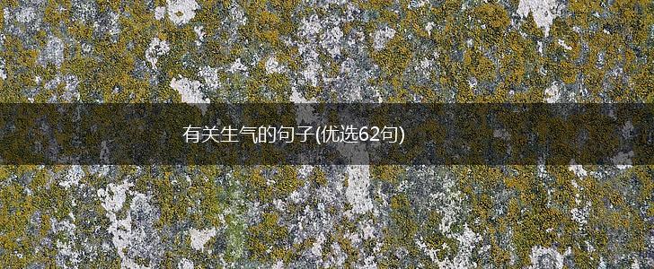 有关生气的句子(优选62句),第1张