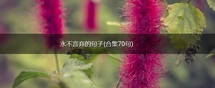 永不言弃的句子(合集70句),第1张
