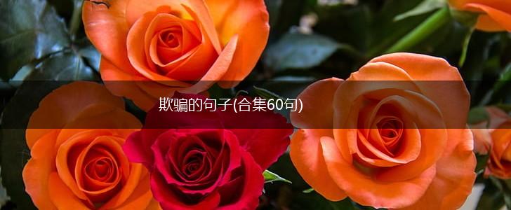 欺骗的句子(合集60句),第1张