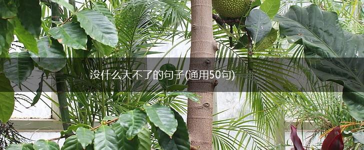 没什么大不了的句子(通用50句),第1张