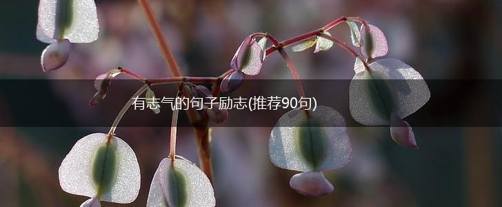 有志气的句子励志(推荐90句),第1张