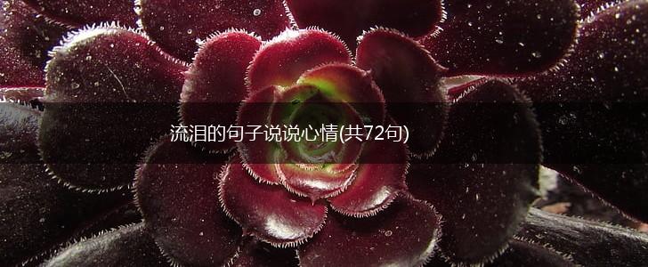 流泪的句子说说心情(共72句),第1张