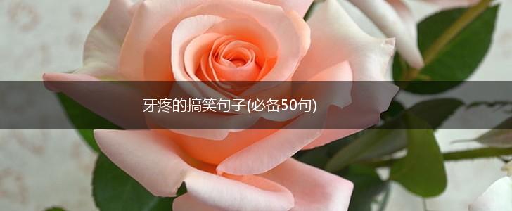 牙疼的搞笑句子(必备50句),第1张