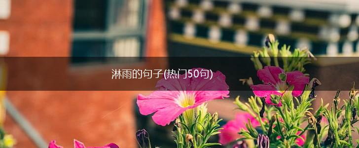 淋雨的句子(热门50句),第1张