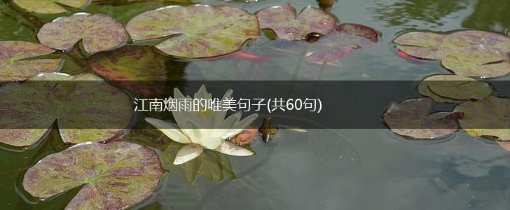 江南烟雨的唯美句子(共60句),第1张