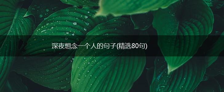 深夜想念一个人的句子(精选80句),第1张