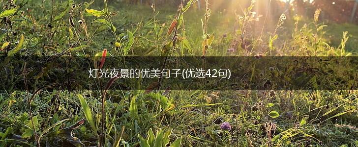 灯光夜景的优美句子(优选42句),第1张