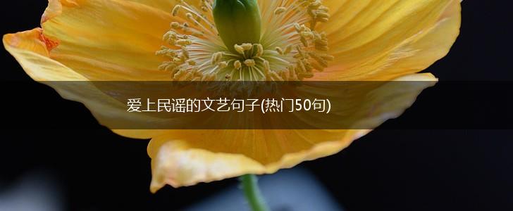 爱上民谣的文艺句子(热门50句),第1张