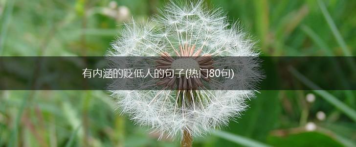 有内涵的贬低人的句子(热门80句),第1张