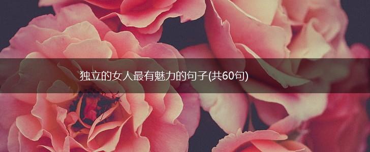 独立的女人最有魅力的句子(共60句),第1张