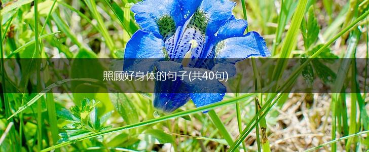 照顾好身体的句子(共40句),第1张