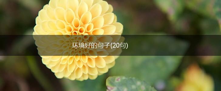 环境好的句子(20句),第1张