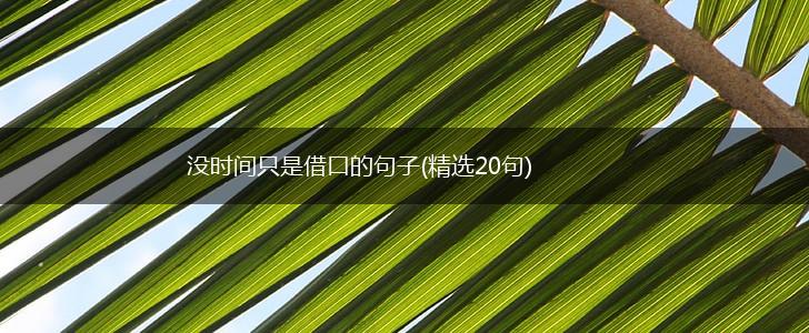 没时间只是借口的句子(精选20句),第1张