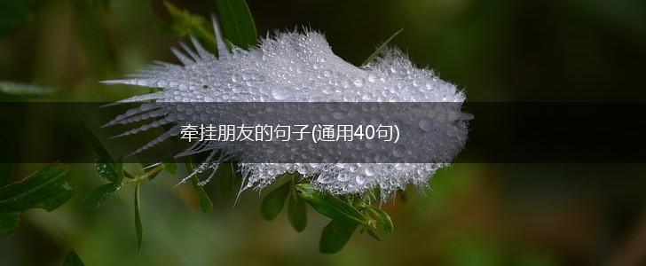 牵挂朋友的句子(通用40句),第1张