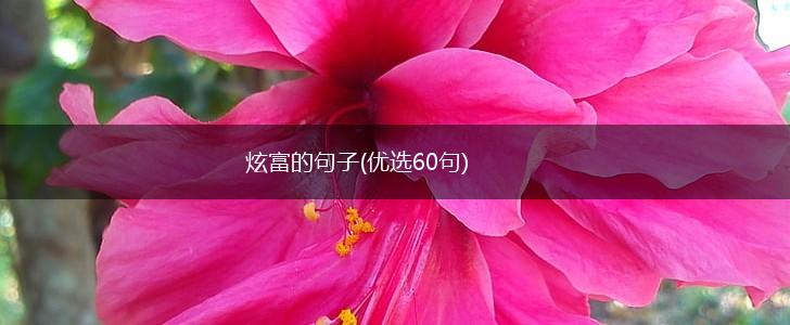 炫富的句子(优选60句),第1张