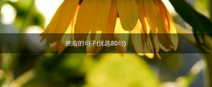 照应的句子(优选80句),第1张