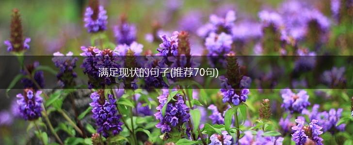 满足现状的句子(推荐70句),第1张