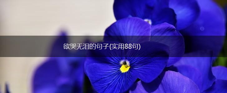 欲哭无泪的句子(实用88句),第1张