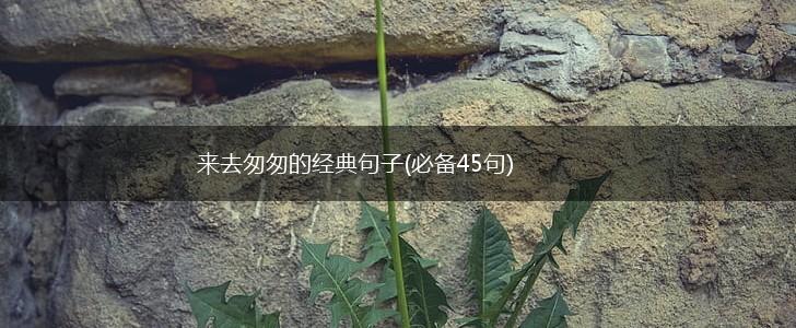 来去匆匆的经典句子(必备45句),第1张