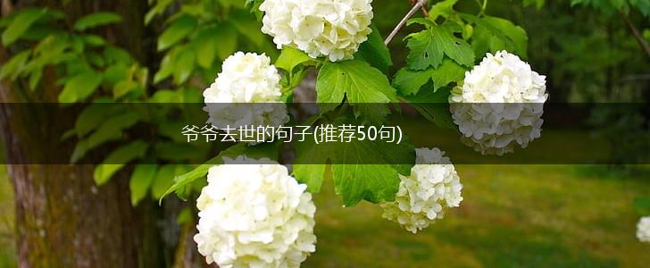 爷爷去世的句子(推荐50句),第1张 爷爷去世的句子(推荐50句),第1张