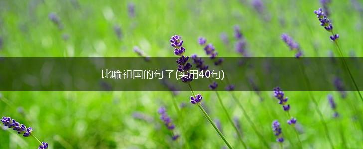 比喻祖国的句子(实用40句),第1张