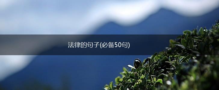 法律的句子(必备50句),第1张
