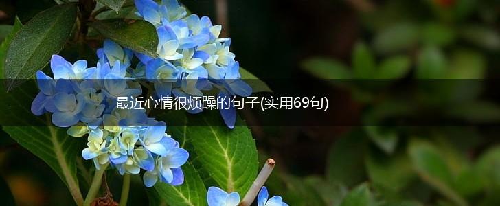 最近心情很烦躁的句子(实用69句),第1张