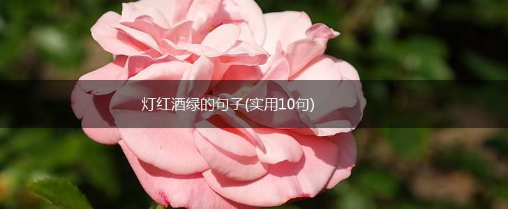 灯红酒绿的句子(实用10句),第1张