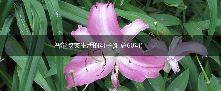 智能改变生活的句子(汇总60句),第1张