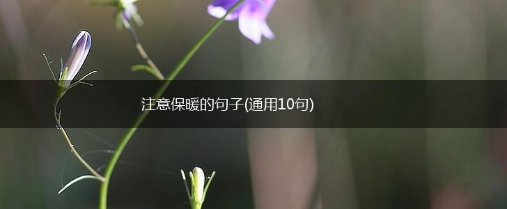 注意保暖的句子(通用10句),第1张