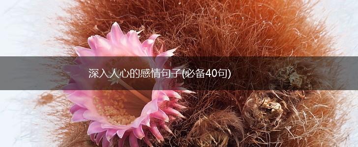 深入人心的感情句子(必备40句),第1张