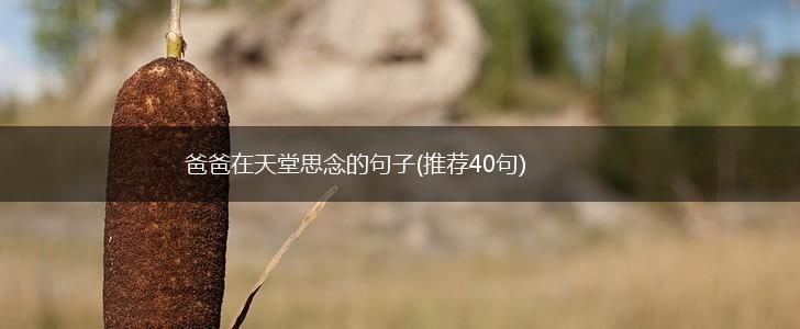 爸爸在天堂思念的句子(推荐40句),第1张