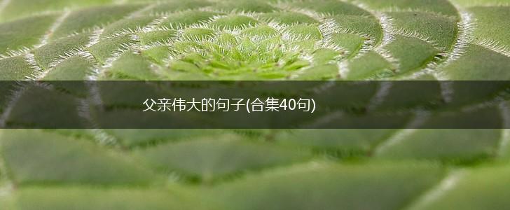 父亲伟大的句子(合集40句),第1张