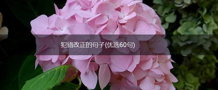犯错改正的句子(优选60句),第1张