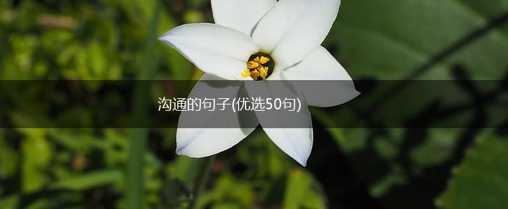 沟通的句子(优选50句),第1张