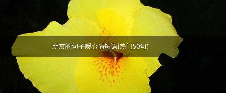 朋友的句子暖心情短语(热门50句),第1张