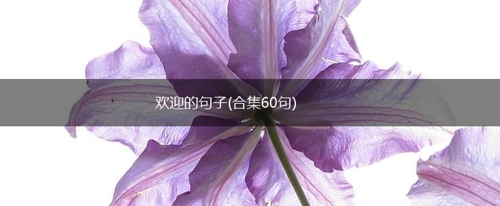 欢迎的句子(合集60句),第1张