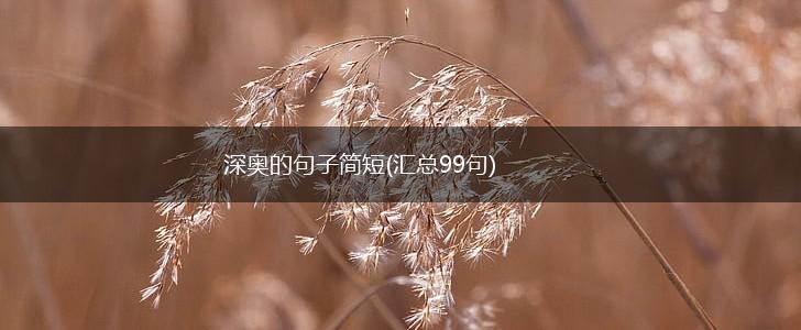 深奥的句子简短(汇总99句),第1张